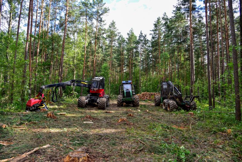 Inside a Pine Needle Removal Truck