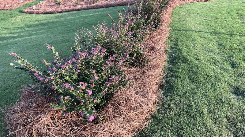 Landscape Aesthetics