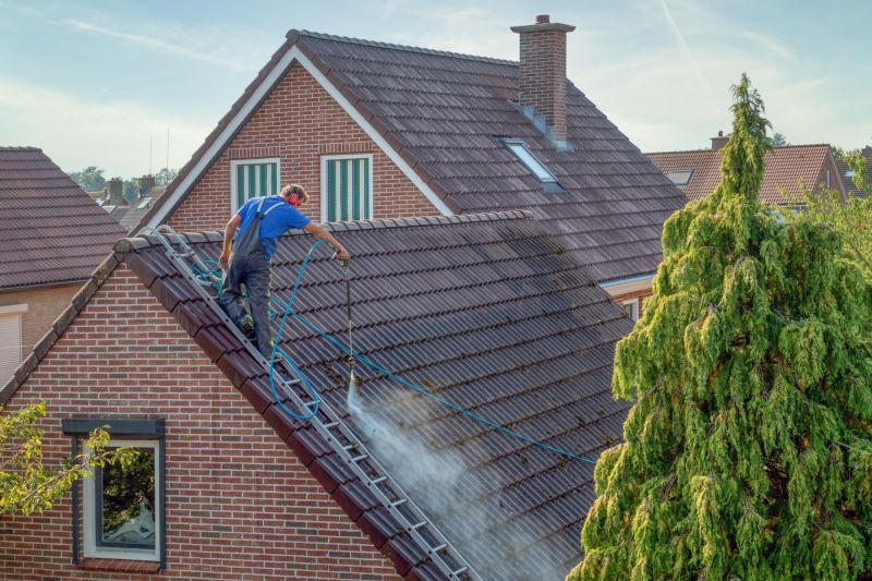 Finished Roof Cleaning