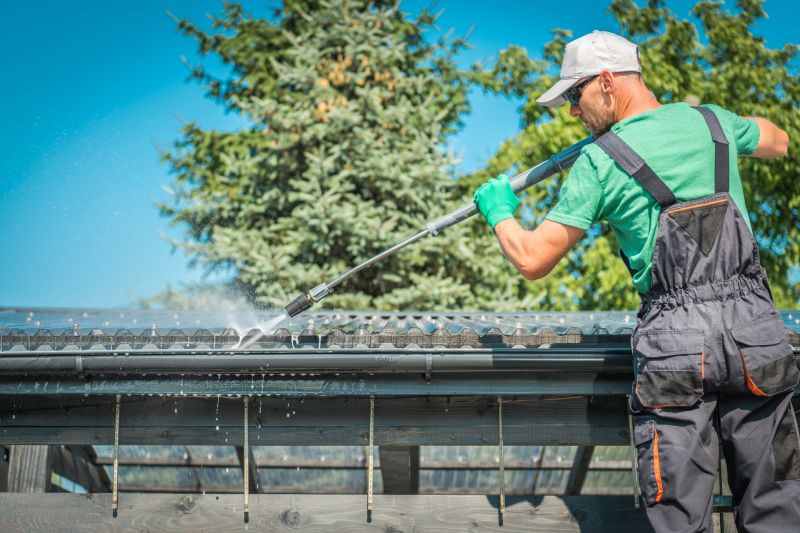 Signs Your Home Needs Professional Roof Cleaning
