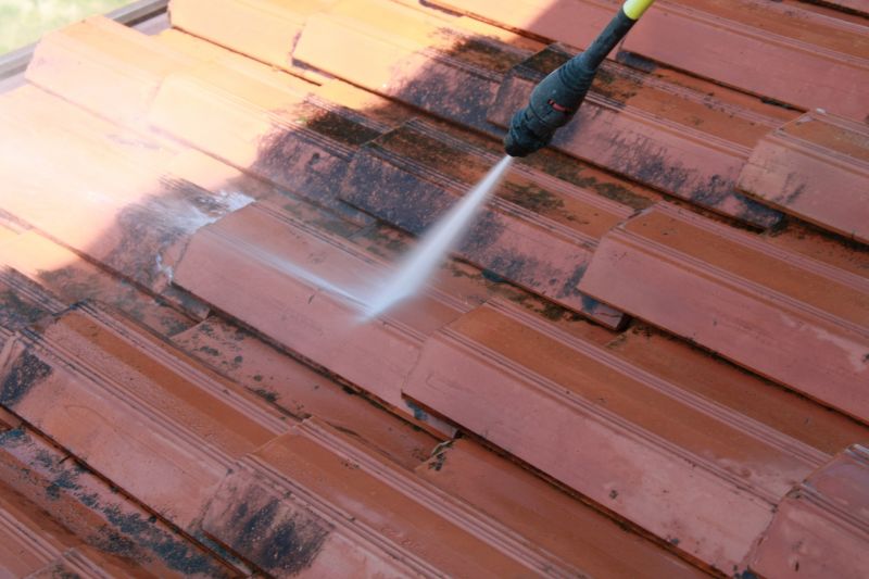 Tile Roof Cleaning