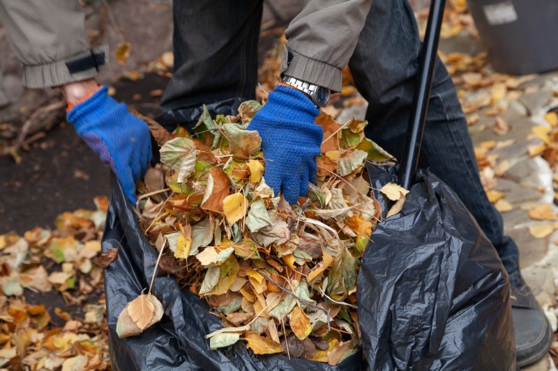 Seasonal Cleanup Services