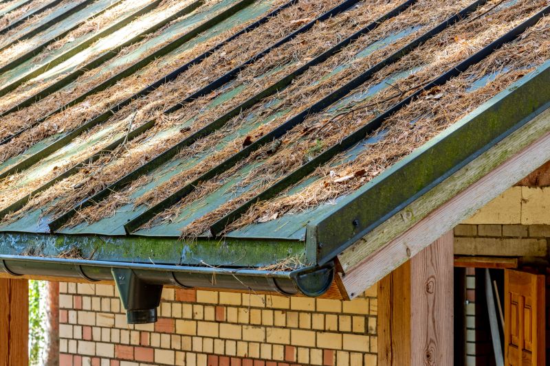 Get Professional Pine Needle Removal To Enhance Property Appearance!