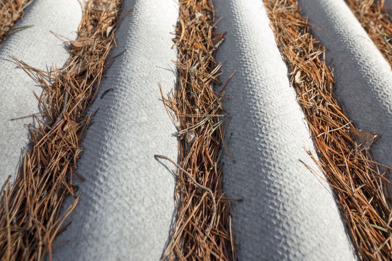 Get Professional Pine Needle Removal To Preserve Roof Integrity!