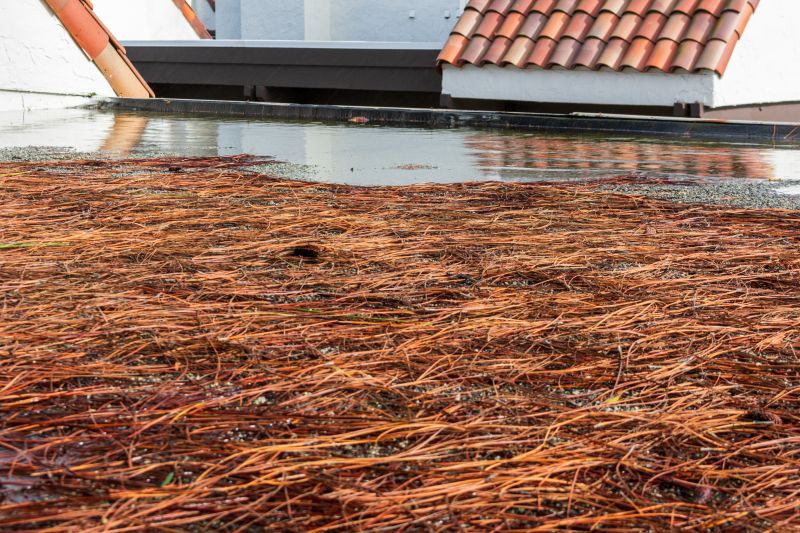 Reduce Fire Hazards With Professional Pine Needle Removal Service!